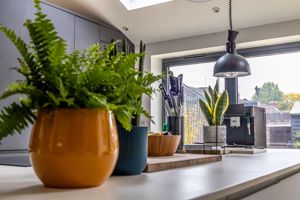 .- click for photo gallery